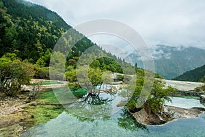 Calcification ponds at Huanglong, Sichuan, China