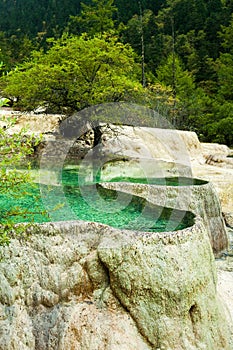 Calcification ponds at Huanglong, Sichuan, China