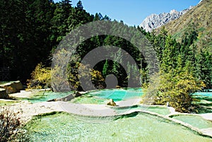 Calcified Ponds in Huanglong