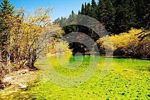 Calcified Ponds of Huanglong photo