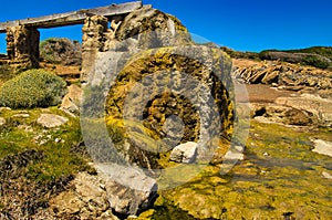 Calcified water wheel, Cape Leeuwin, Western Australia