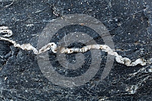 Calcite veins in tectonized black clay shales