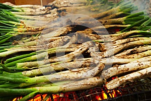 Calcots, catalan sweet onions