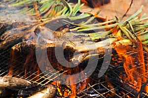 calcots, sweet onions typical of Catalonia, Spain, in the barbecue photo