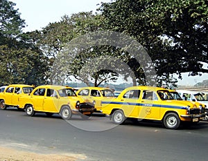 Calcutta's taxis