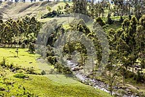 landscapes river Caldas Colombia photo