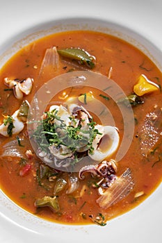Stewed squid seafood soup in spicy tomato and vegetable sauce photo