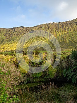 Caldeirao do Corvo, Azores photo