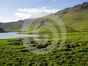 Caldeirao do Corvo landscape, Azores photo