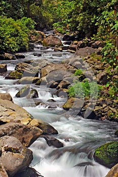 Caldera River rapids, Boquete, Chiriqui, Panama photo