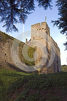 Caldicot Castle