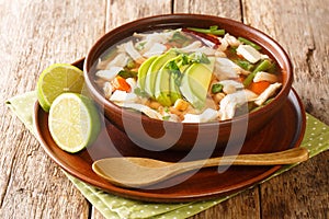 Caldo Tlalpeno Chicken and Vegetable Soup closeup in a bowl. horizontal