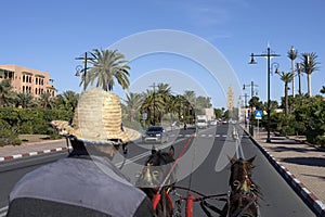 caleche on an avenue in Marrakech, Morocco