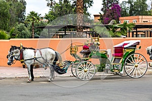 Caleche in Marrakech