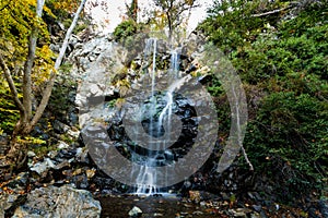 Caledonia waterfall
