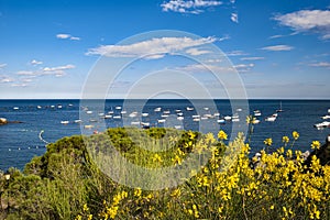 Calella Costa Brava Cataluna Spain photo