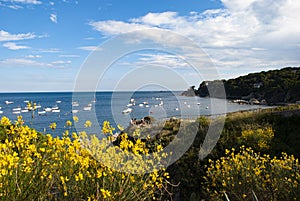 Calella Costa Brava Cataluna Spain photo