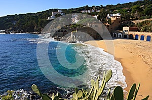 Calella de Palafrugell (Costa Brava, Spain) photo