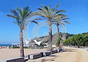 Calella Promenade Spain photo