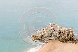 Calella - Roca Grossa Beach