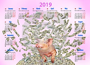 Calendar for 2019 with amusing pig on heap of dollars. Pig symbol of next year