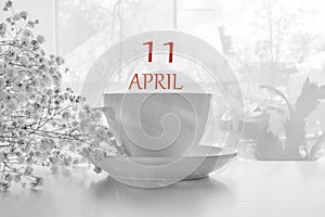 Calendar date on light background with porcelain white tea pair and white gypsophila with copy space. April 11 is the eleventh