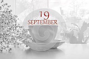 Calendar date on light background with porcelain white tea pair and white gypsophila with copy space. September 19