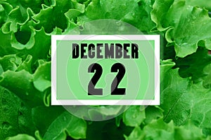 Calendar date oncalendar date on the background of green lettuce leaves. December 22 is the twenty-second day of the month