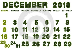 Calendar for December 2018 on white background