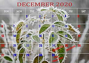 Calendar for December, 2020.  Monthly calendar.