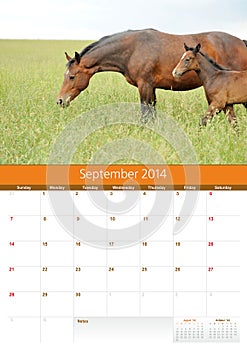 Calendar 2014. Horse. September