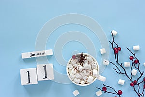 Calendar January 11 Cup of cocoa, marshmallows and branch berries