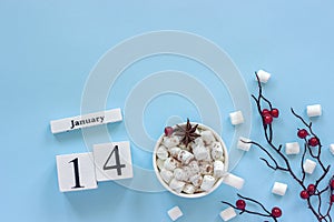 Calendar January 14 Cup of cocoa, marshmallows and branch berries