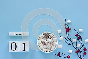 Calendar January 1st Cup of cocoa with marshmallows and branch berries