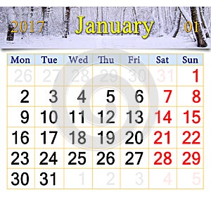 Calendar for January 2017 with birch grove