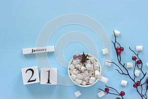 Calendar January 21 Cup of cocoa, marshmallows and branch berries