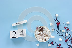 Calendar January 24 Cup of cocoa, marshmallows and branch berries