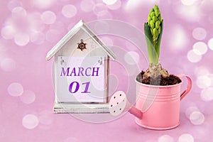 Calendar for March 1: decorative house with the name of the month March in English, numbers 01, growing hyacinth, planted in a