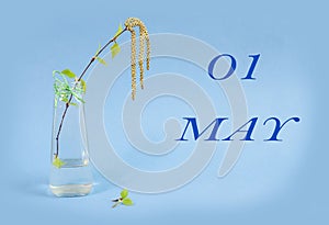 Calendar for May 1: a birch branch in a glass vase on a blue background, the name of the month May in English, the numbers 01