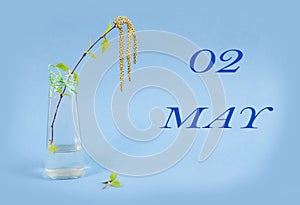 Calendar for May 2: a birch branch in a glass vase on a blue background, the name of the month May in English, the numbers 02