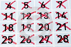 Calendar page with all strikethrough days