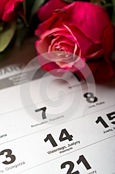 Calendar page with the red hearts and bouquet of red roses on Valentines day.