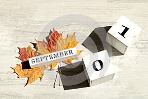 Calendar for September 1 : the name of the month of September in English, cubes with the numbers 01, two maple leaves on a gray