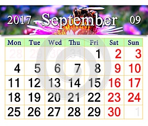 Calendar for September 2017 with bee on the pink aster