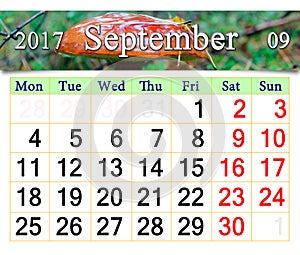 Calendar for September 2017 with mushroom Boletus badius