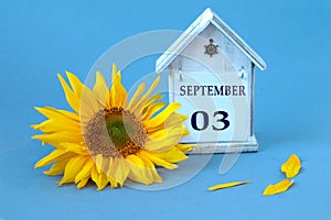 Calendar for September 3 : decorative house with the name of the month in English, numbers 03, yellow sunflower flower, scattered