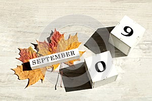 Calendar for September 9 : the name of the month of September in English, cubes with the numbers 09, two maple leaves on a gray