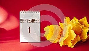 Calendar with the text October 1 on and with a maple leaf