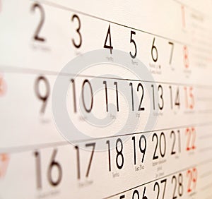 Calendario organizzatore 