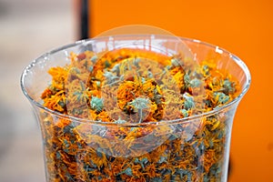 calendula colorful background herb used in medicine